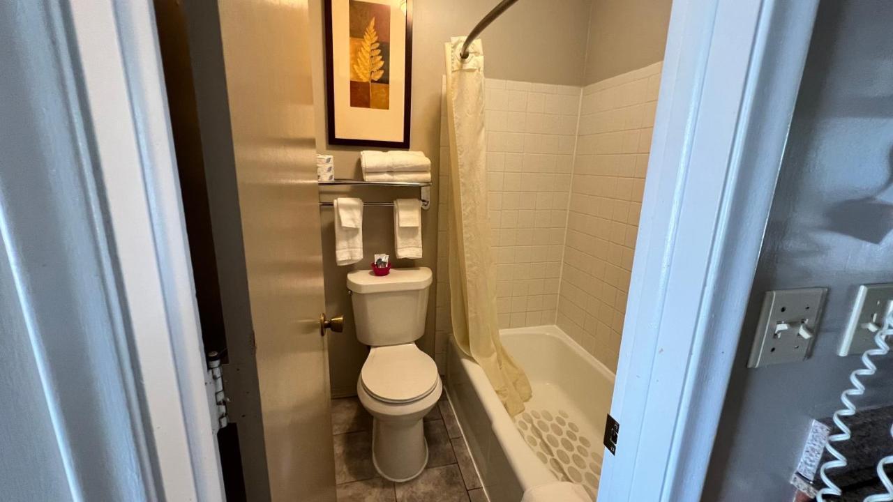 Capri Motel Avoca Dış mekan fotoğraf